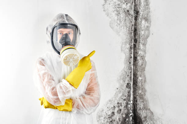 Hawaiian Gardens, CA Mold Removal & Remediation Company